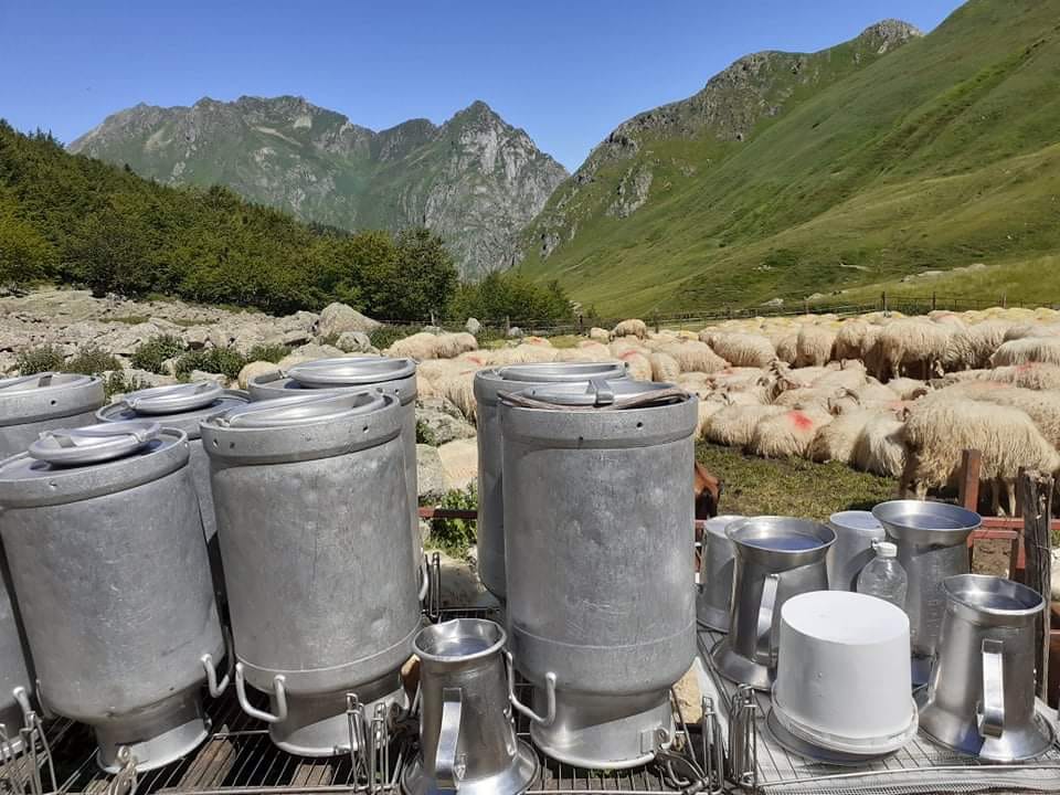 Bidons de lait en montagne