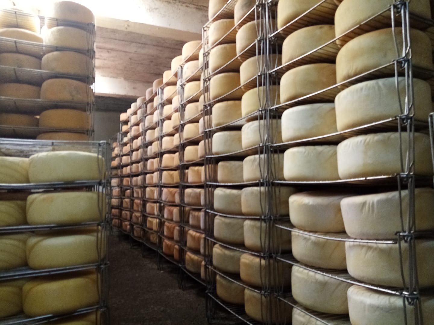Cave d'affinage remplie de fromages