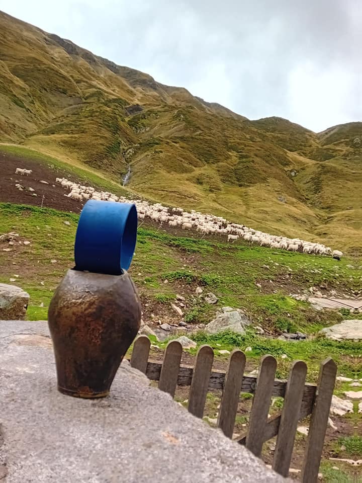 Sonnaille en montagne